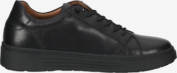 HUSH PUPPIES Sneakers in Black