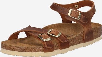 BIRKENSTOCK Μιούλ 'Kumba' σε καφέ: μπροστά