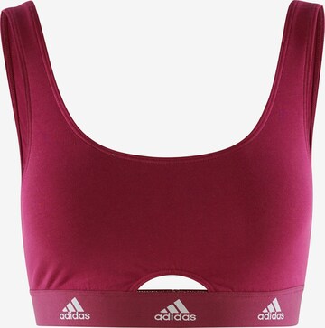 ADIDAS SPORTSWEAR Sport Bustier ' SCOOP BRALETTE ' in Rot: predná strana