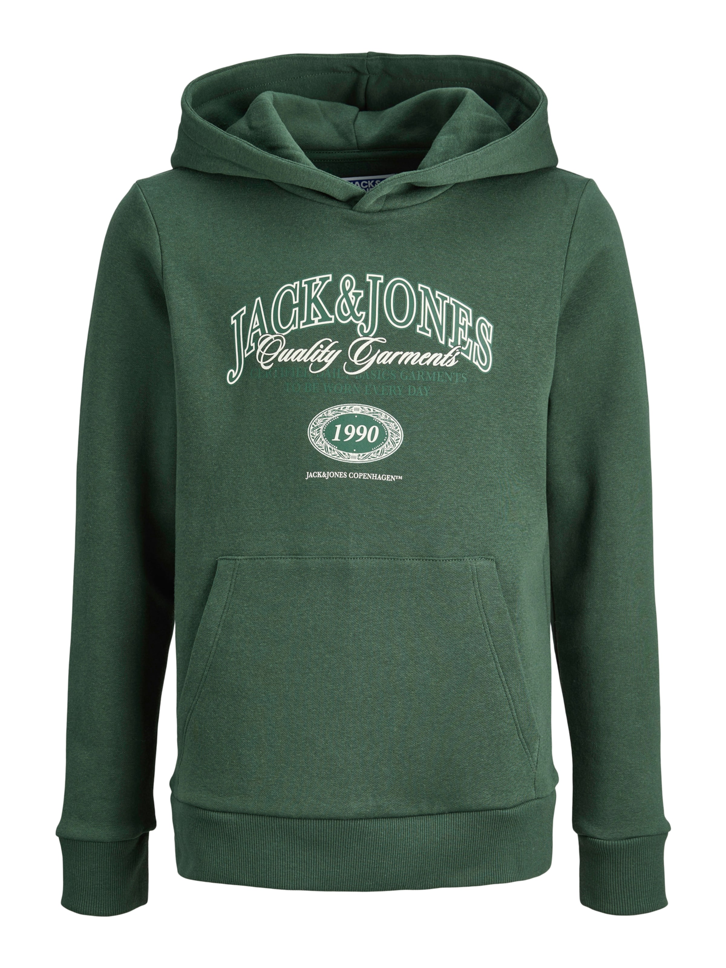 Jack &amp; Jones Junior Sweatshirt &#x27;JJARI&#x27; in Green: front