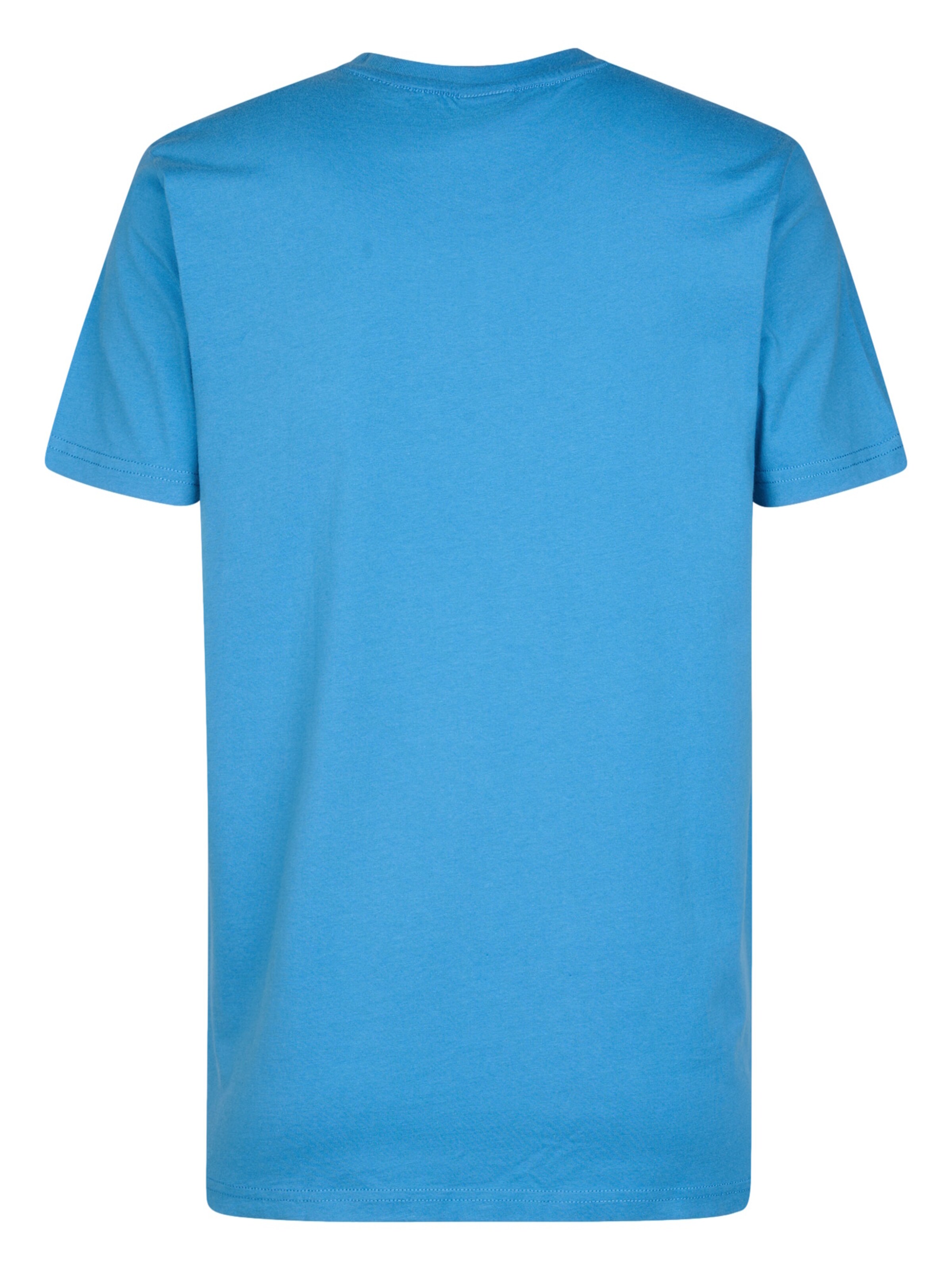 Petrol Industries Shirt in Blauw