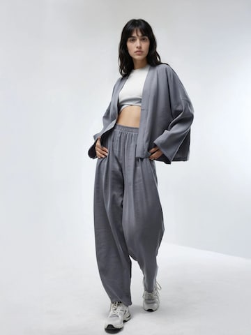Barrel Pantalon Busem en gris