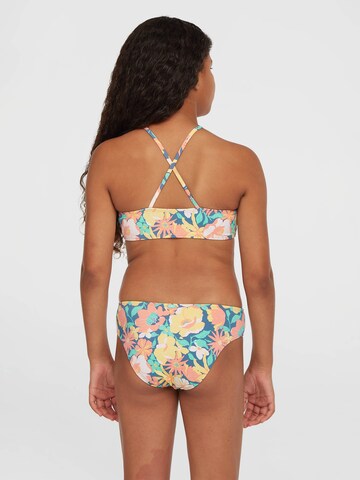O'NEILL Bralette Bikini in Mixed colours