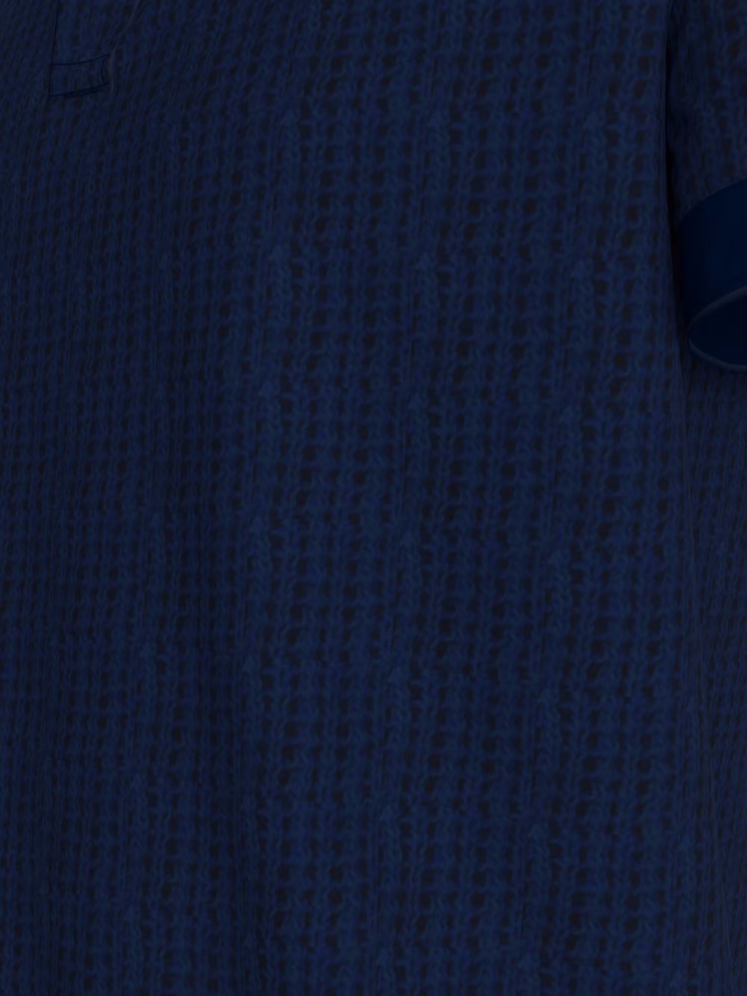 TOMMY HILFIGER Poloshirt in Blau