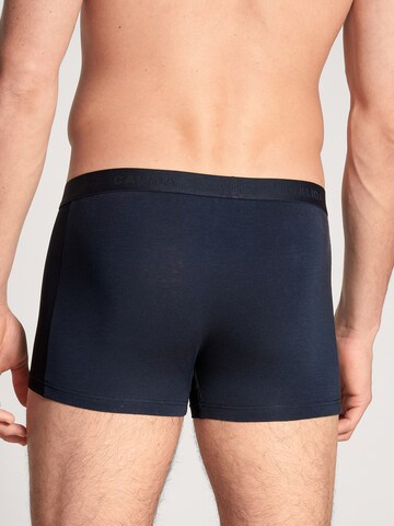 CALIDA Boxershorts in Blau