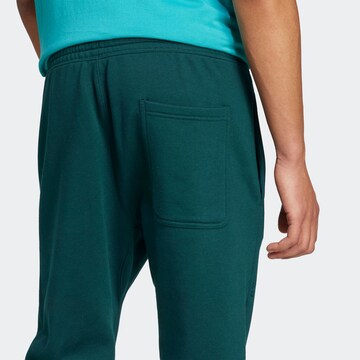 ADIDAS SPORTSWEAR Tapered Sporthose in Grün