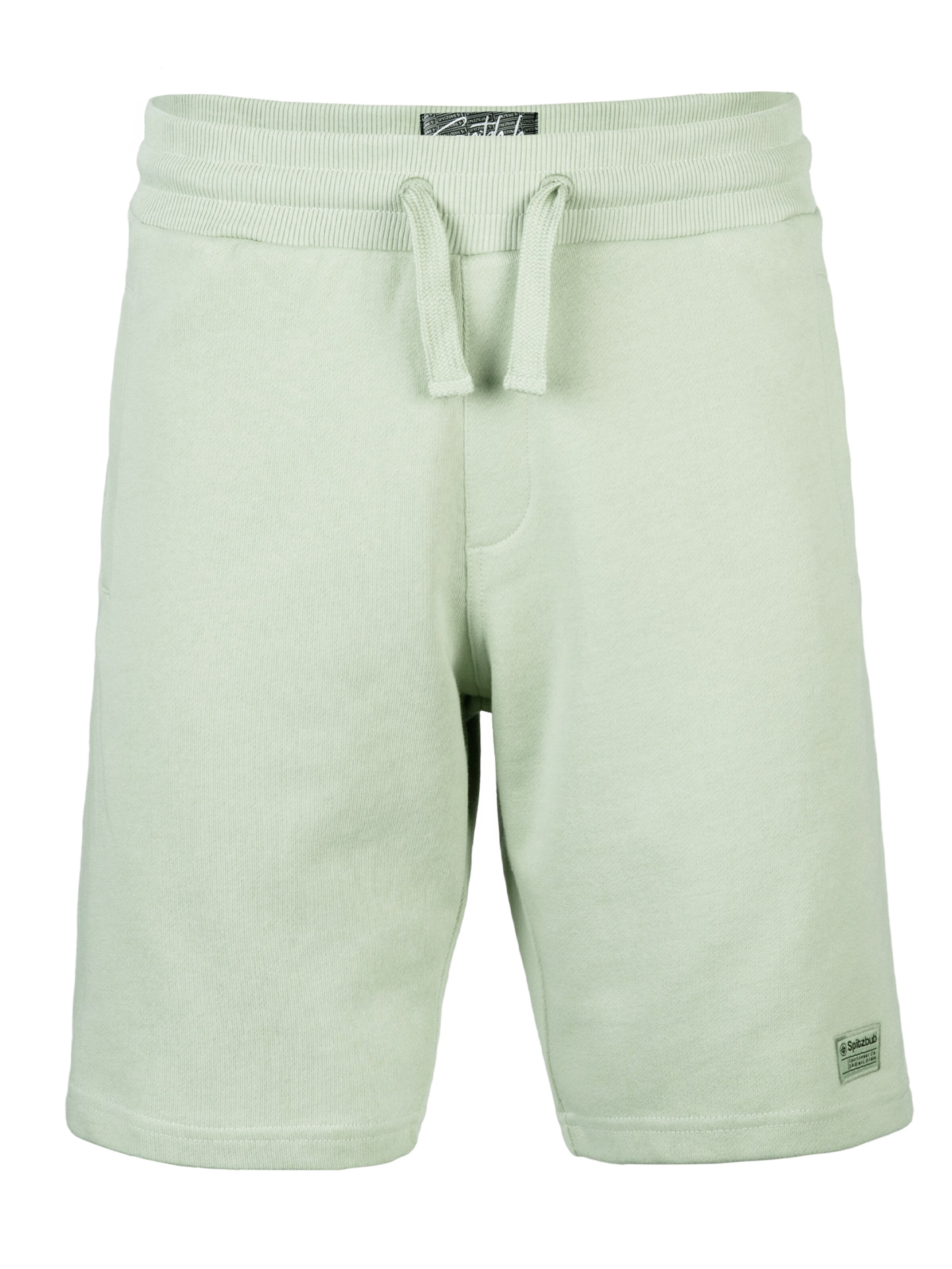 Regular Pantalon 'Gunnar' SPITZBUB en vert : devant