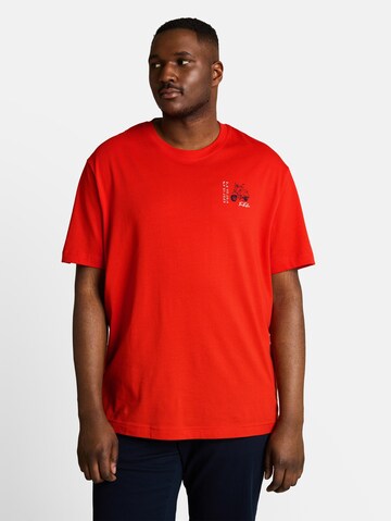 TOM TAILOR Men + T-Shirt in Orange: Vorderseite