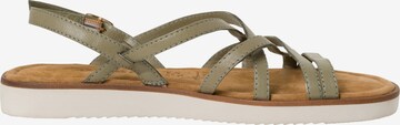 TAMARIS Sandalen met riem in Groen