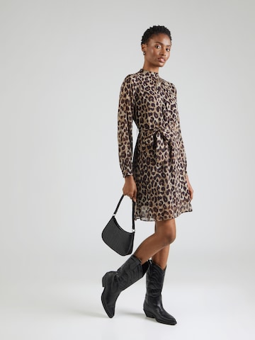 PRINCESS GOES HOLLYWOOD Kleid in Braun: Vorderseite