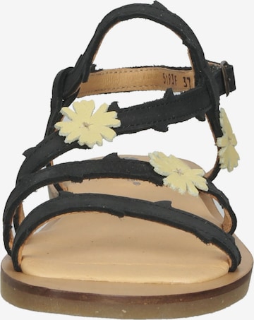 EL NATURALISTA Strap Sandals in Black