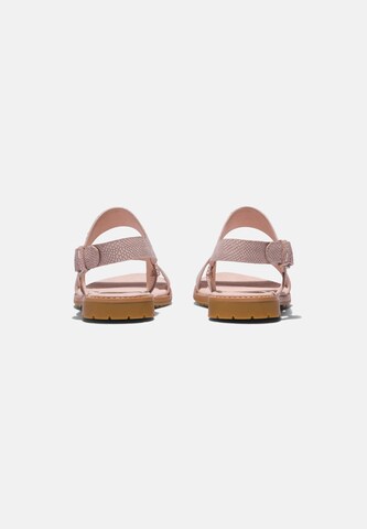 TIMBERLAND Sandals 'Chicago Riverside' in Pink