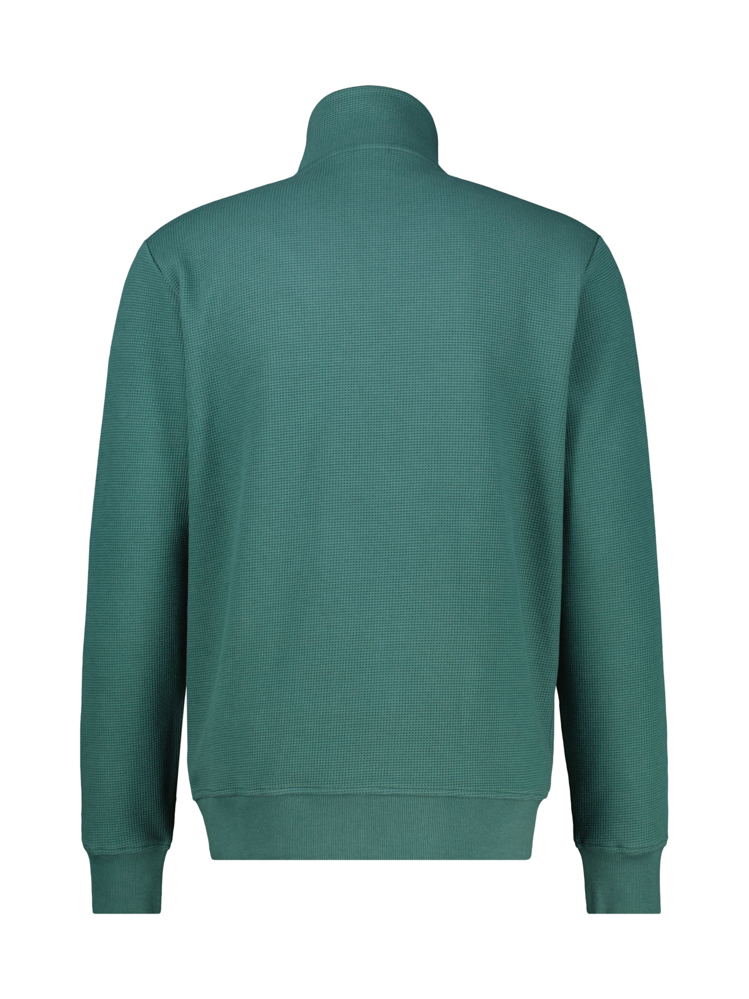 LERROS Sweatvest in Groen