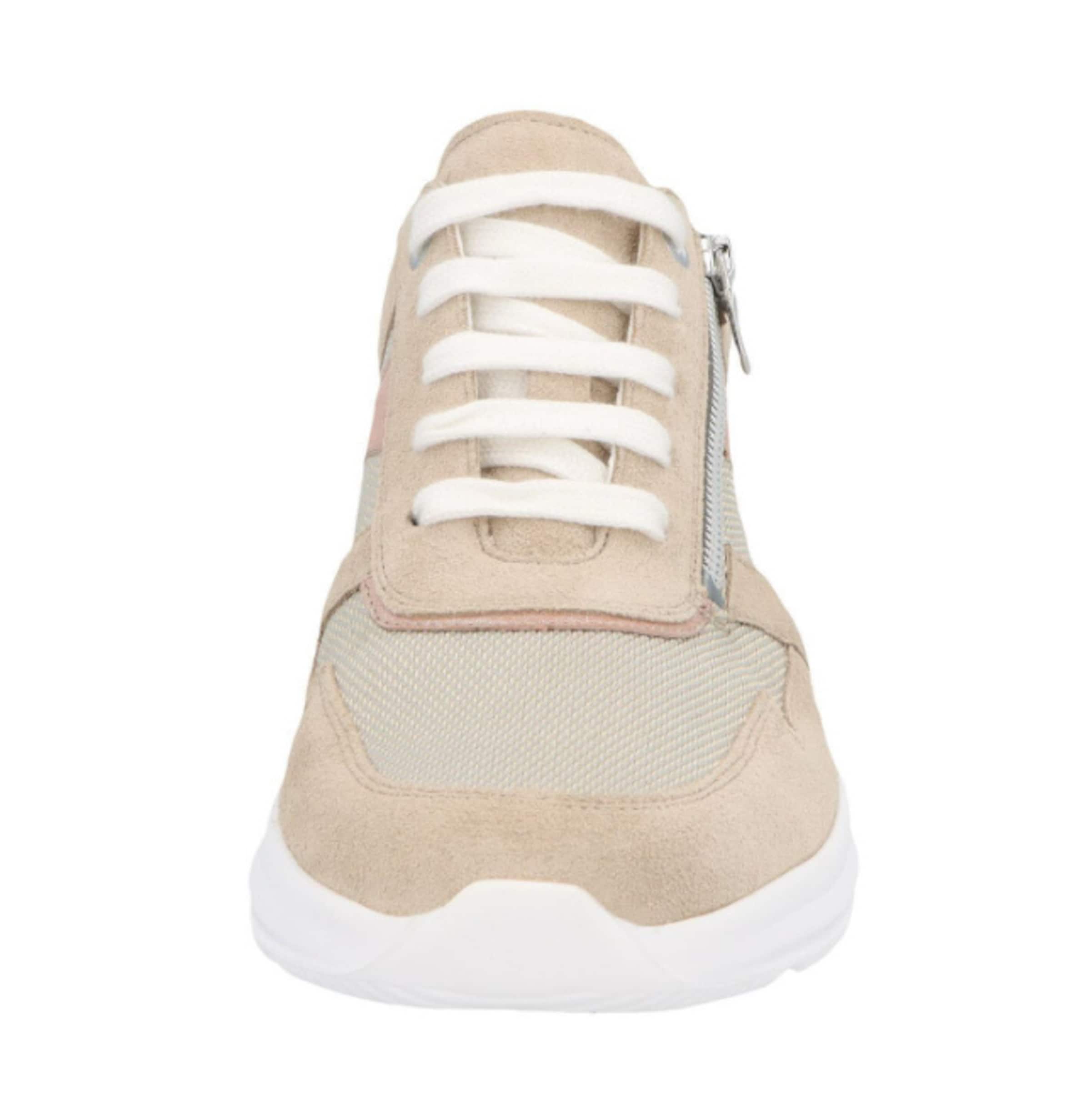 SOLIDUS Lace-Up Shoes in Beige