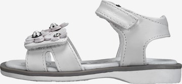 CHICCO Sandals 'Cetra' in White: front