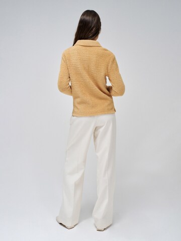 Salsa Jeans Trui in Oranje