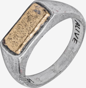 Haze&Glory Ring in Silver: front