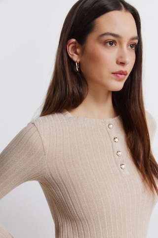 Springfield Trui in Beige