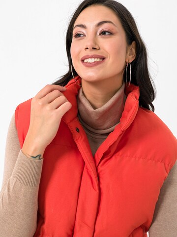 Gilet di Daniel Hills in arancione