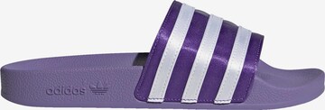 purpurinė ADIDAS ORIGINALS Šlepetės 'Adilette'