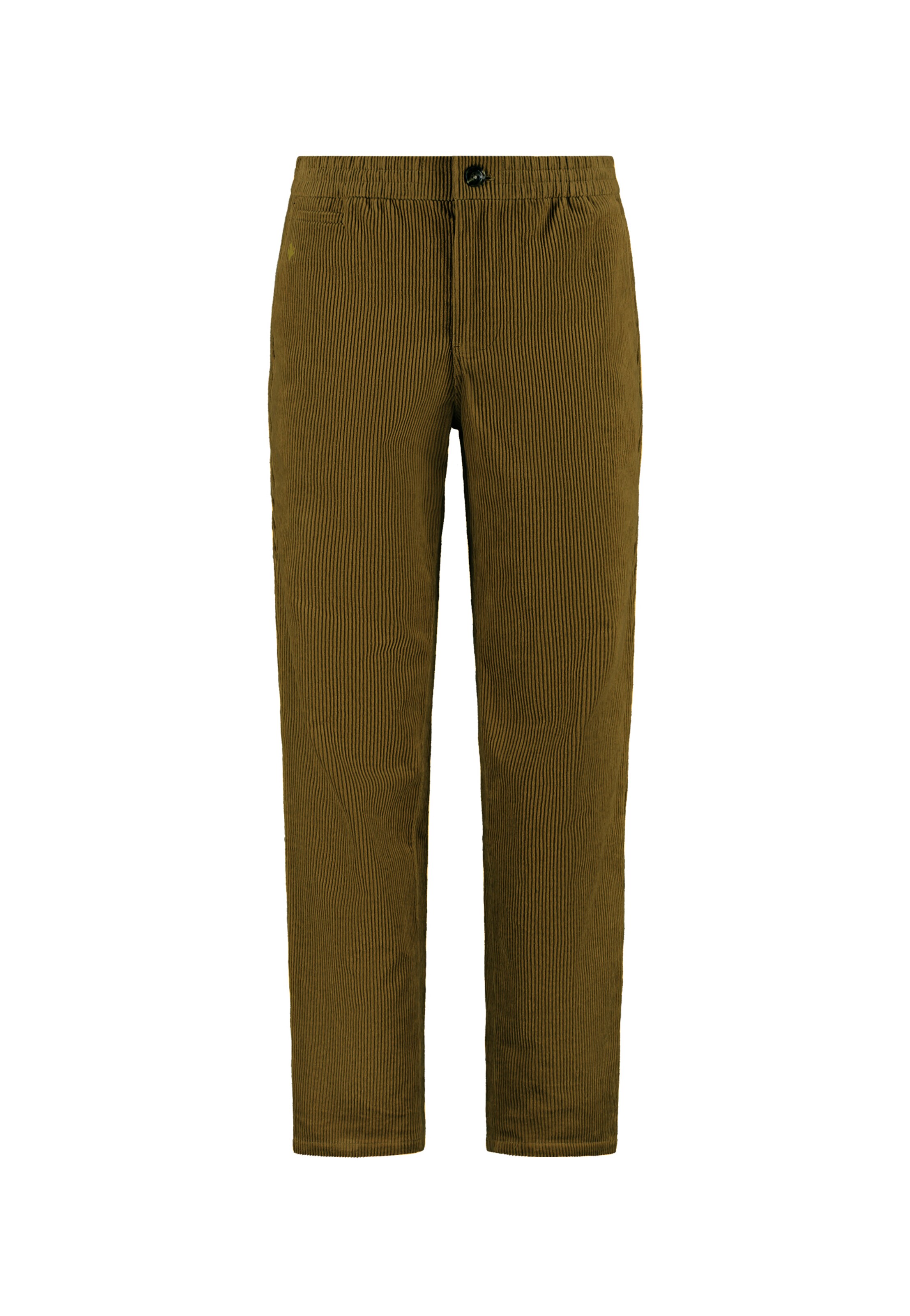 Regular Pantalon 'Alan Corduroy' Shiwi en vert : devant