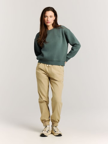 PROTEST Sweatshirt 'PRTScole' in Green