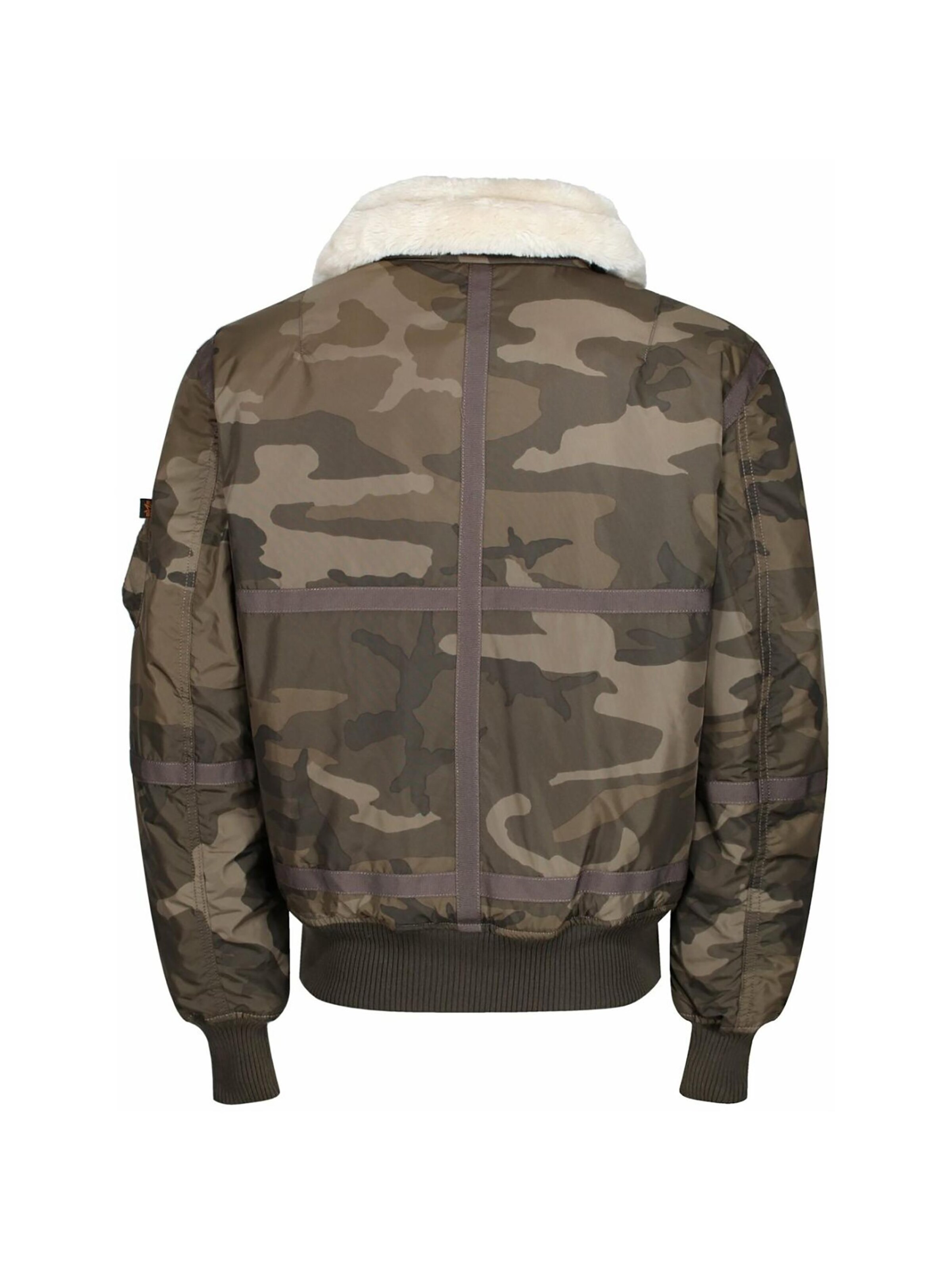 ALPHA INDUSTRIES Winter Jacket 'B15-3 TT' in Mixed colors