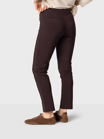 NAULOVER Slimfit Pressveckad byxa ' ' i brun: baksida