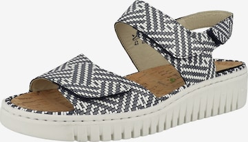 Sandalo 'H-Willow' di WALDLÄUFER in blu: frontale