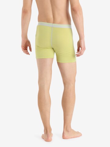 Pantaloncini intimi sportivi 'Anatomica' di ICEBREAKER in giallo