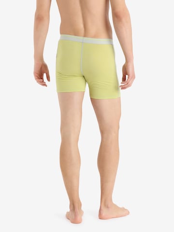 ICEBREAKER Sports underpants 'Anatomica' in Yellow