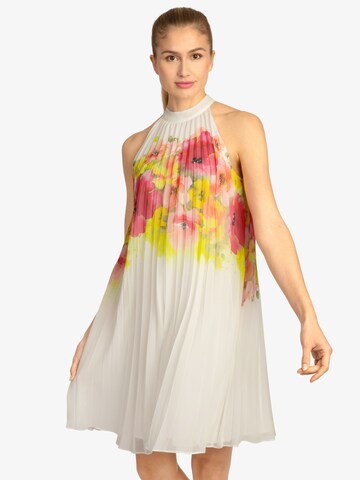 APART Cocktail Dress in Mixed colors: front