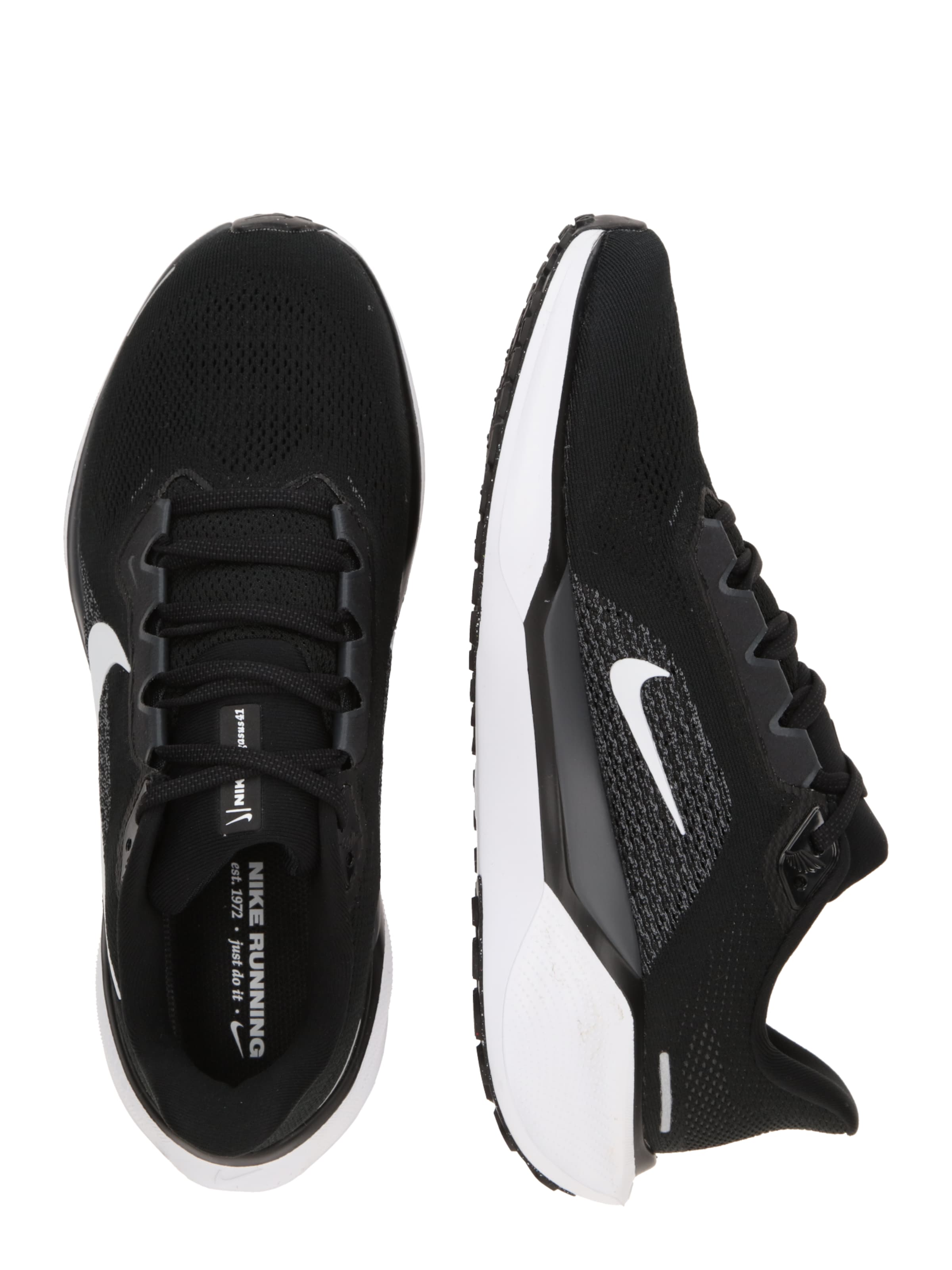 NIKE Springsko 'Pegasus 41' i svart