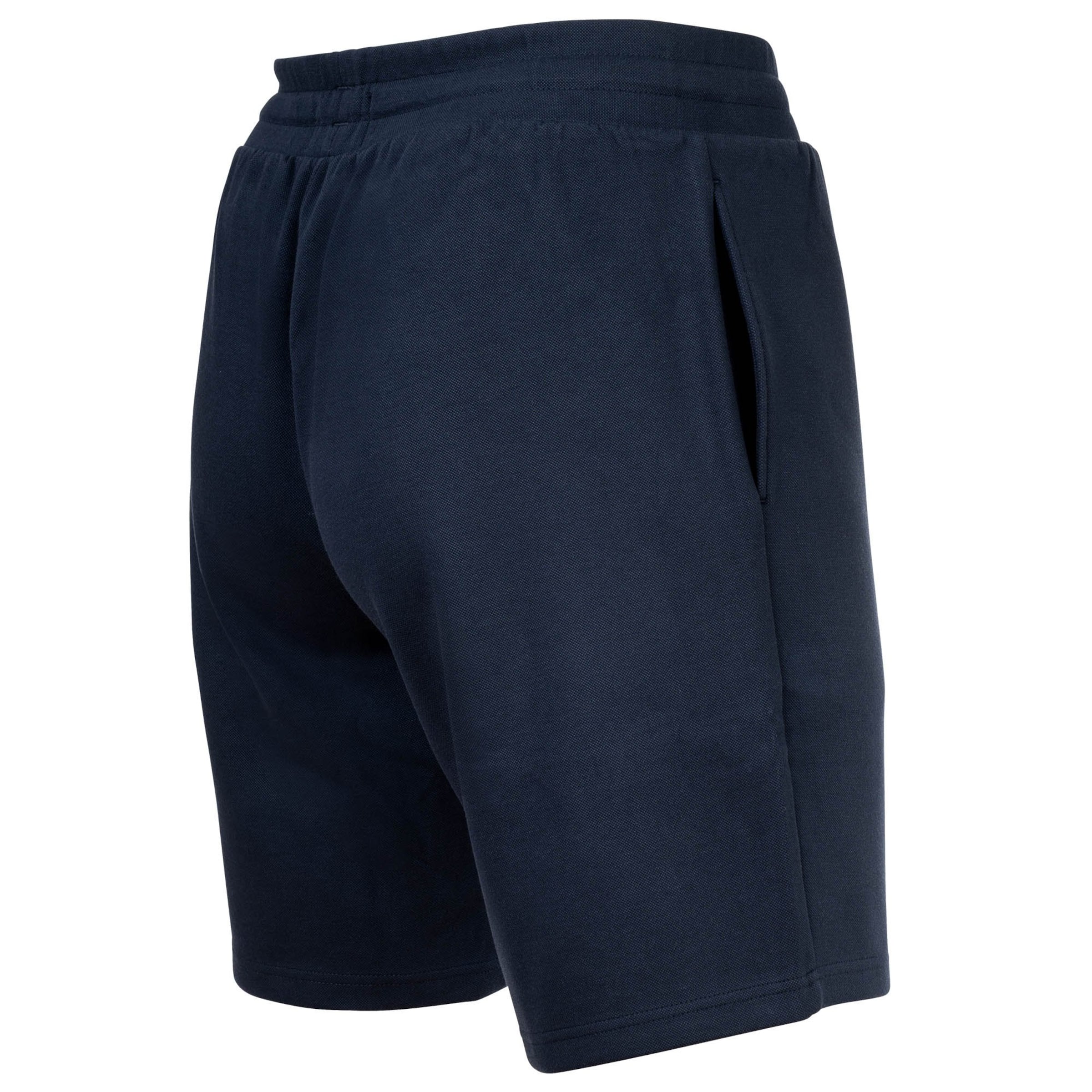 regular Pantaloni di Emporio Armani in blu