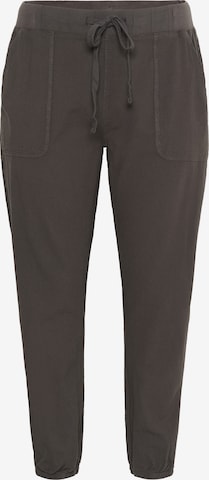 KAFFE CURVE - Pantalón 'KCNana' en gris: frente