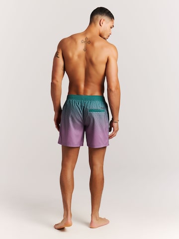 PROTEST Board Shorts 'PRTNorthaw' in Green