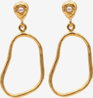 Haze&Glory Earrings in Gold: front