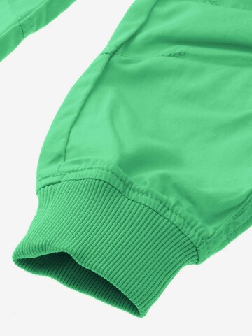 Villervalla Tapered Pants in Green