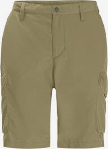 JACK WOLFSKIN Regular Outdoor Pants in Green: front