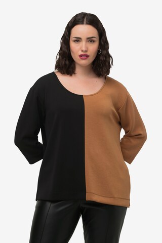 Ulla Popken Sweatshirt in Brown: front