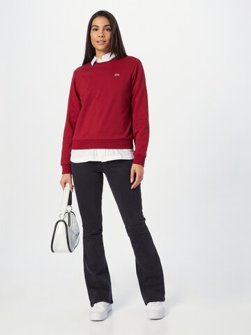 Sweat-shirt LACOSTE en rouge