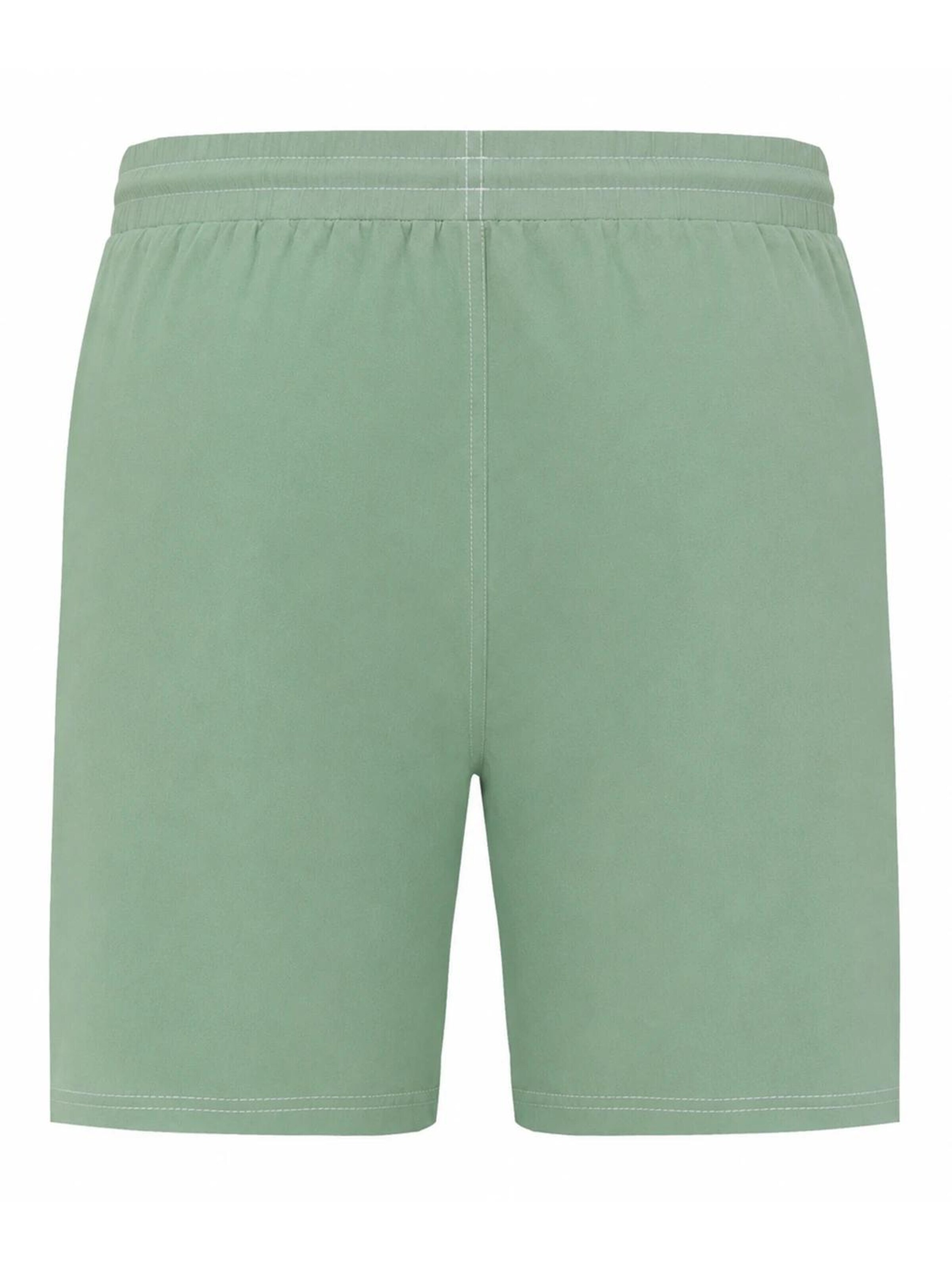 La V Swimming shorts 'Zwemshort Bali' in Green