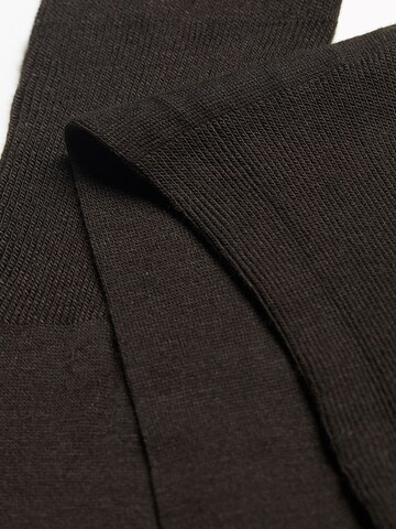 CALZEDONIA Socks in Brown