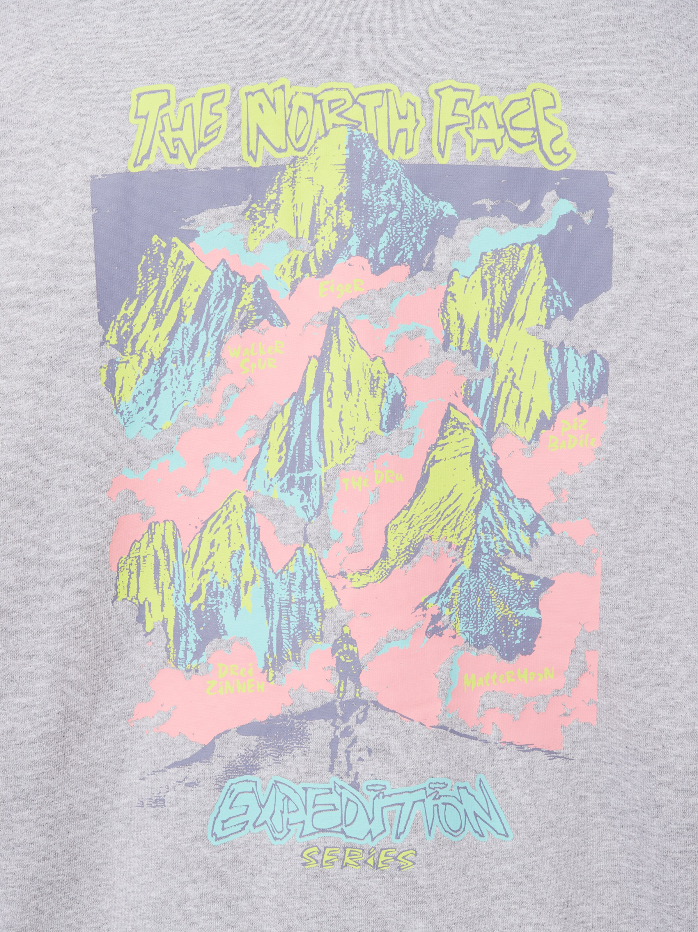 THE NORTH FACE Sweatshirt in Grau