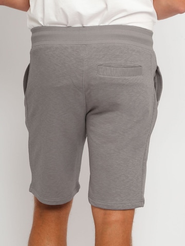 Suitable Regular Pants 'Luke' in Grey