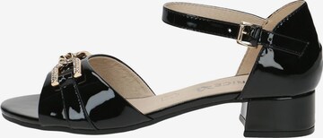 CAPRICE Sandals in Black