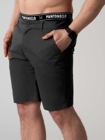 PANTONECLO Slimfit Chino 'Pantoneclo Men’s Chino Shorts' in Grijs
