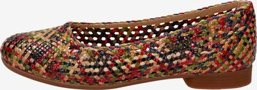 SIOUX Ballet Flats ' Dorline-700 ' in Mixed colors