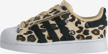 smėlio ADIDAS ORIGINALS Sportbačiai 'SUPERSTAR II': priekis