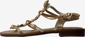 Findlay Sandale in Gold: Vorderseite